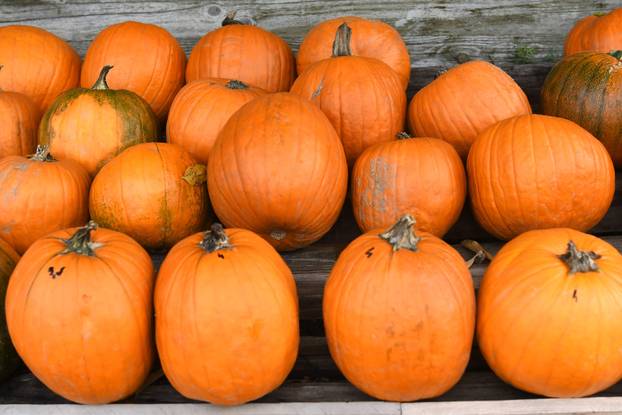 Čukovec: Selo jagoda pretvoreno je u selo bundeva