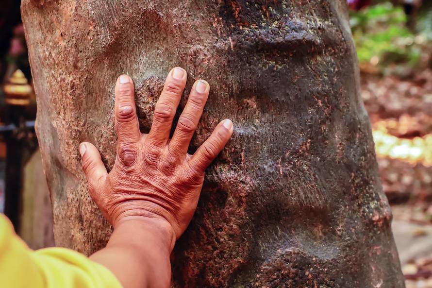 Upozorenje liječnika: Čovjek je dio prirode i to mu nedostaje