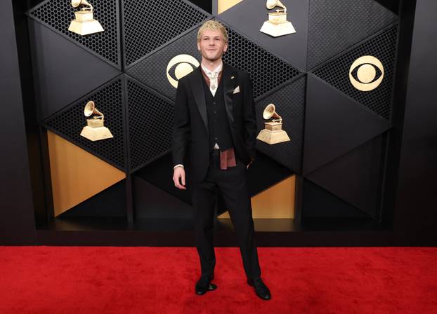 Premiere ceremony of the 68th Annual Grammy Awards in Los Angeles