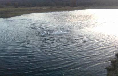 U Dalmatinskoj zagori se polje pretvorilo u jezero