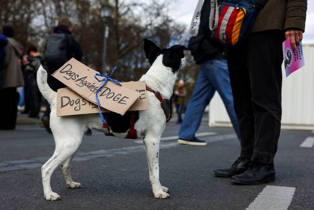 Protest against U.S. President Trump and his adviser Musk, in Berlin