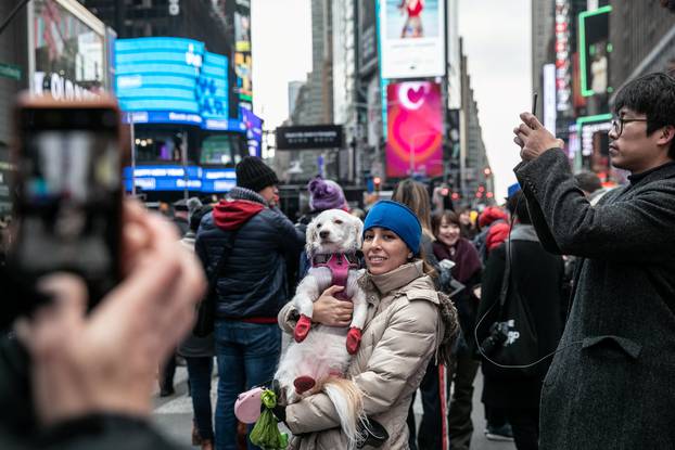 A reveler takes a picture with her dog theÂ NewÂ Year