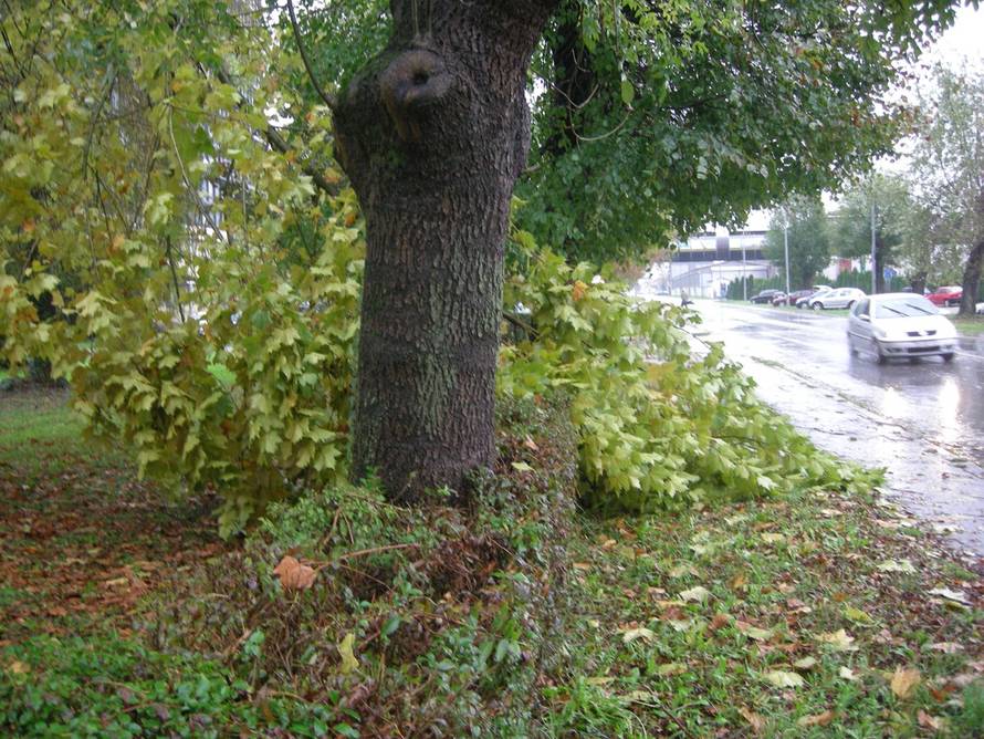 Boris Gajdukov/24sata