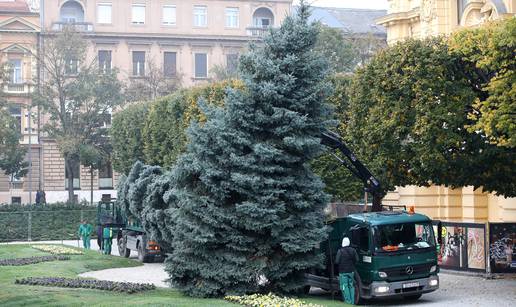 Prva božićna drvca u Zagrebu: Postavlja se poznato klizalište