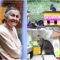 Hrabroj baki Ani ulične mace u Zagrebu duguju život: 'Govorili su da sam luda, ali ja ih volim'