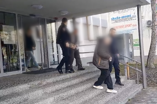 VIDEO Muškarce optužene da su u Slavoniji silovali životinje na sud u Brodu doveli u lisicama