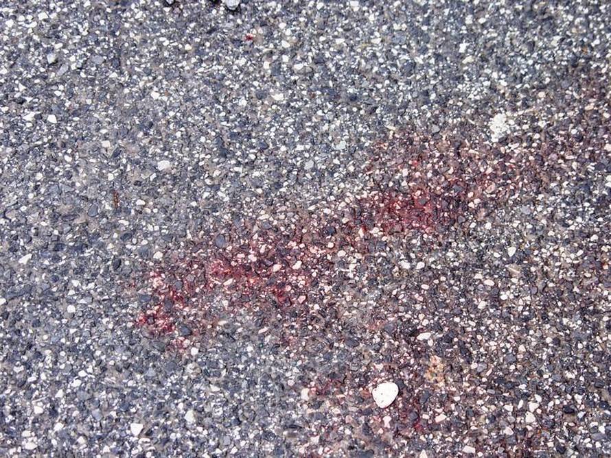 Anđelko Suhodolčan