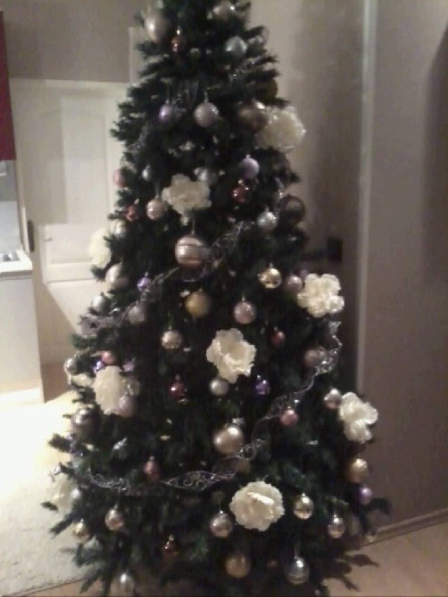 Šaljite fotografije božićnih jelki i osvojite vrijednu nagradu...