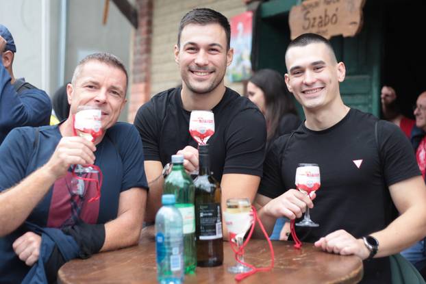 Zmajevac:  Vinski Bor maraton