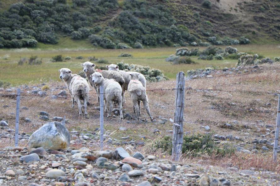 Putevi zlata starih Hrvata: Bili smo u rudniku Ognjene zemlje