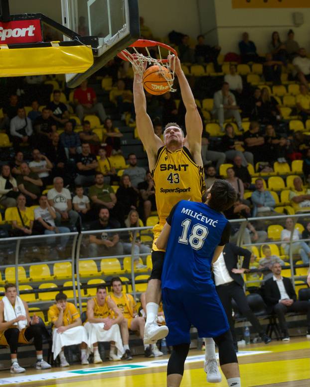 Leon Rado&scaron;evi&cacute;