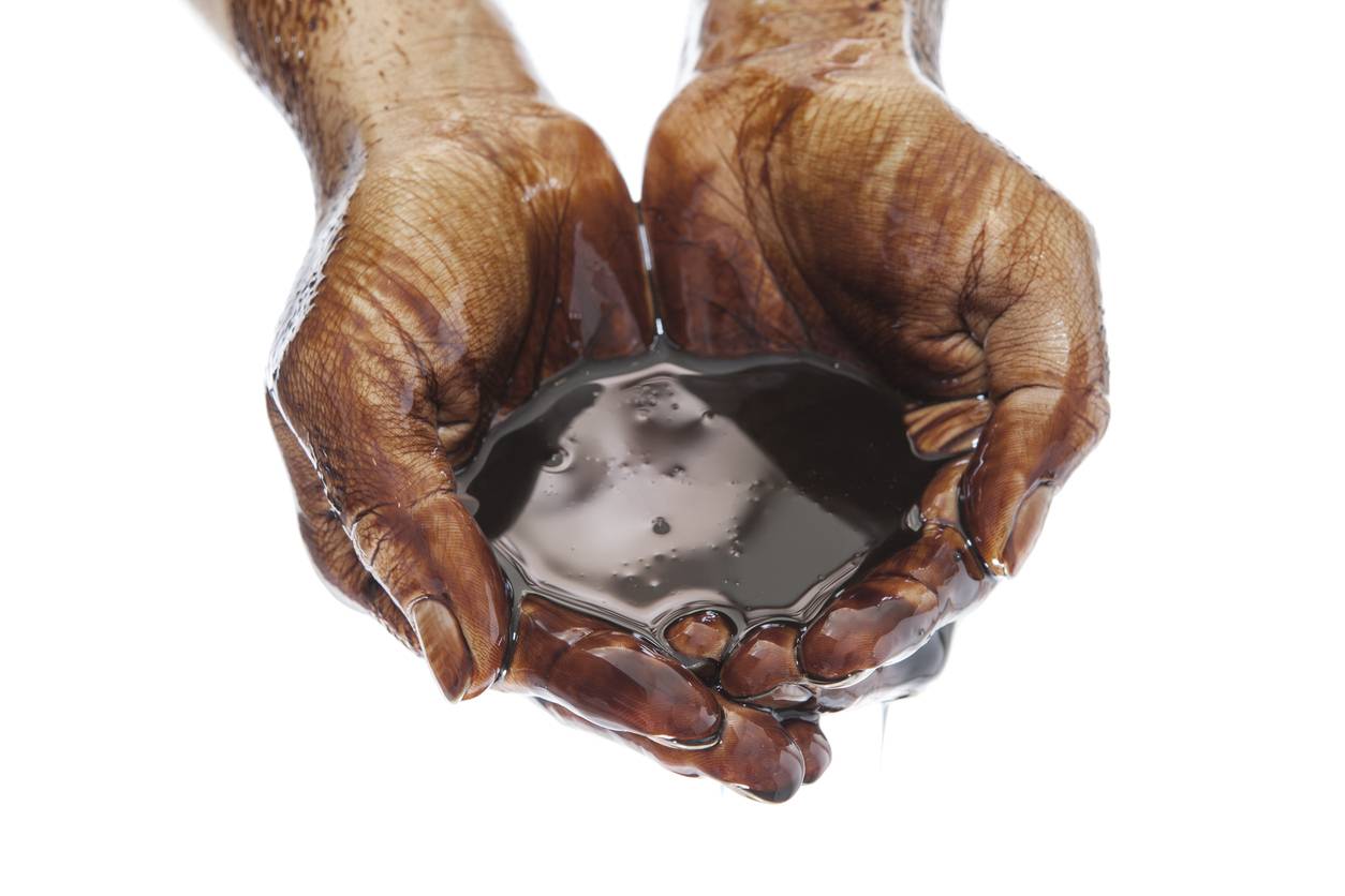 Caucasian hands cupped with black petroleum isolated on white