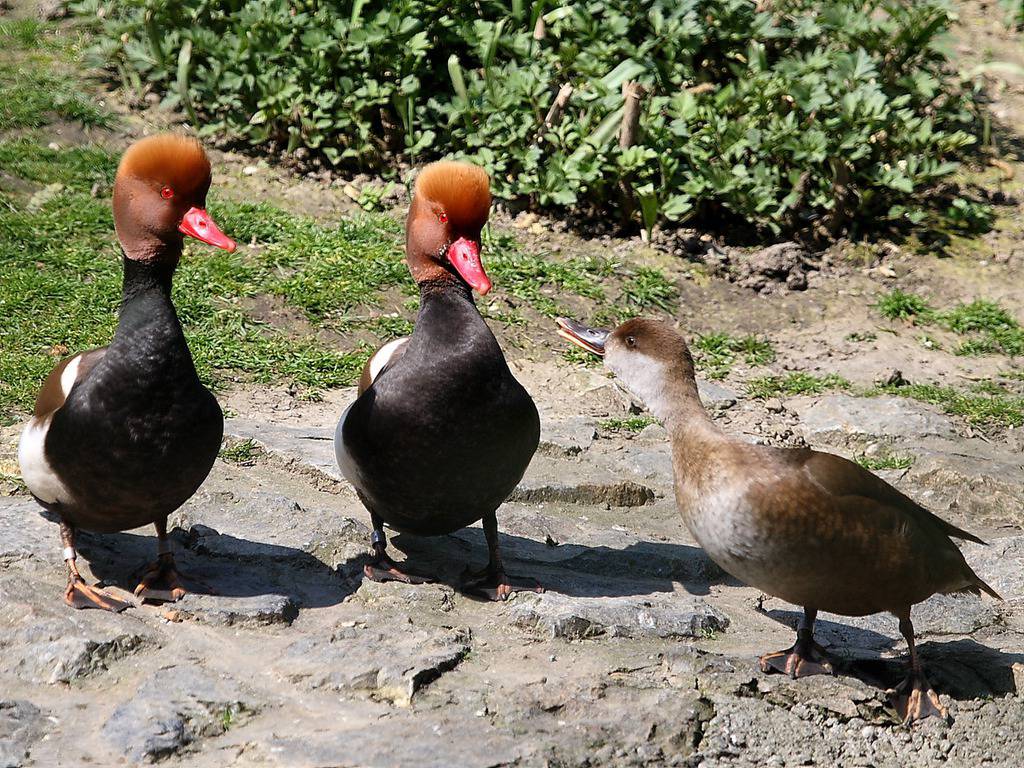 Zoo Zagreb