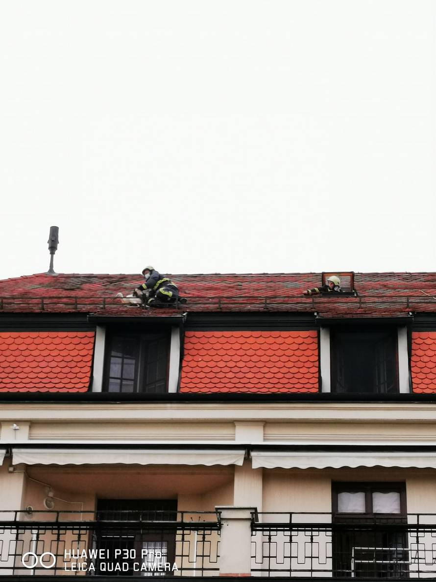 Časne sestre iz Đakova: Halo, vatrogasci? Rodi treba pomoć