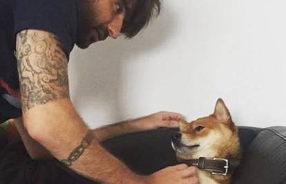 Velika ljubav: Vedran Ćorluka si je istetovirao svog psa na nogu