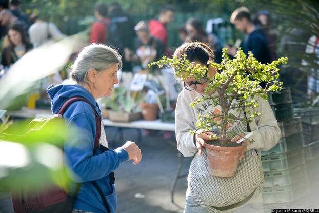 Zagreb: Veliki interes izazvala je godišnja rasprodaja viška biljaka u Botaničkom vrtu