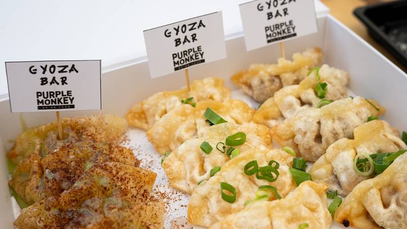 FOTO Azijski Street Food Festival - Evo što se sve moglo kupiti