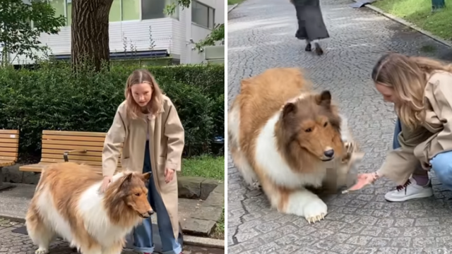 Japanac odjeven u kostim psa vrijedan preko 14 tisuća eura šeta ulicom: Želim biti životinja!