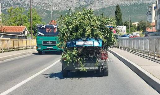 Urnebesna snimka iz Splita: 'Što je ovo?! Zeleni Opel? Grane su virile svuda, vozio je centrom'