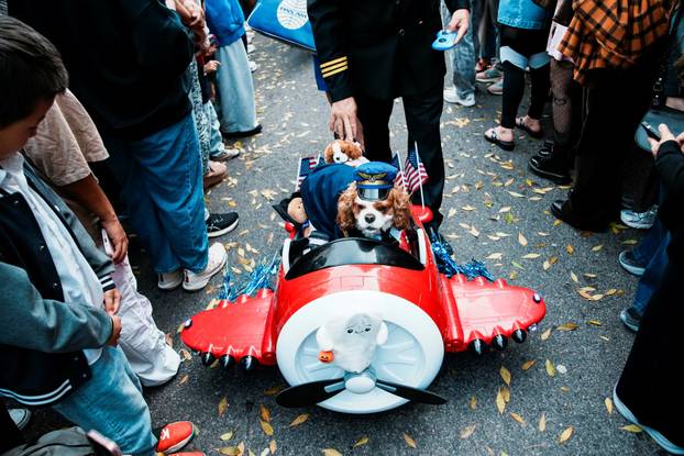 Tompkins Square Halloween Dog Parade in New York