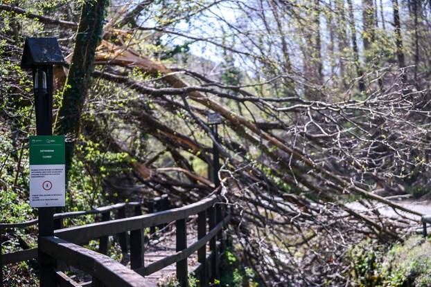 Zagreb: Posljedice olujnog nevremena na Sljemenu