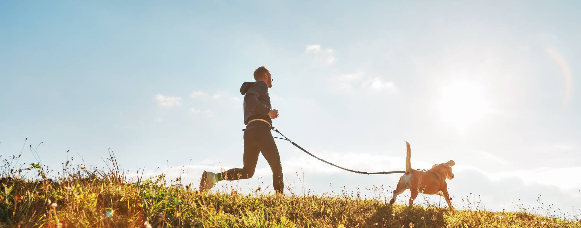 Canicross,Exercises.,Man,Runs,With,His,Beagle,Dog,At,Sunny