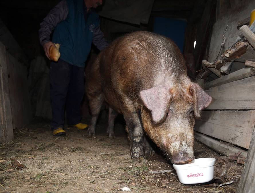 Željko Hladika/24sata