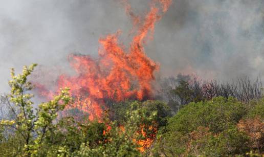 Gore trava i raslinje, kuće nisu ugrožene, gase i tri kanadera