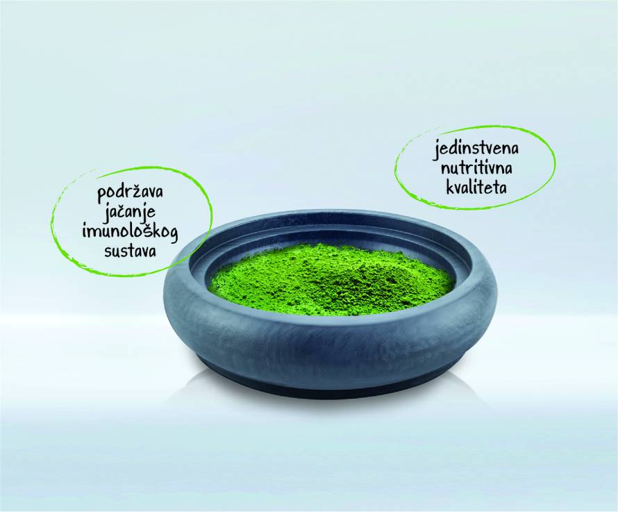 Što imaju zajedničko ljudi i mačke? I jedni i drugi moraju raditi na jačanju svog imuniteta