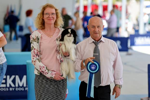 Zaton: Međunarodna izložba pasa pod nazivom CACIB Zadar 2025