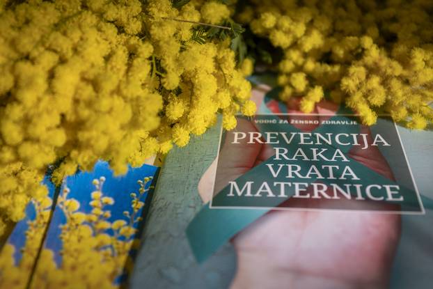 Dan mimoza obilježen je i u Osijeku