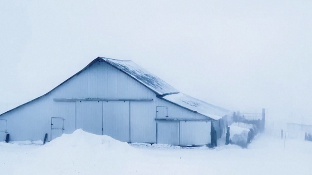 VIDEO Gusti snježni pokrivač prekrio je dijelove SAD-a