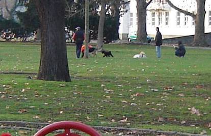 Usprkos znaku zabrane u parku puštaju i šeću pse