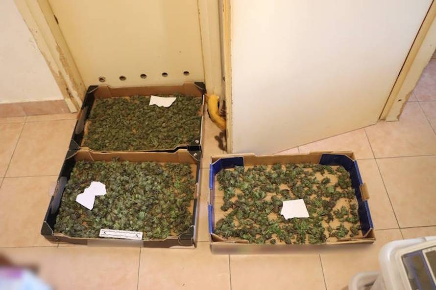 U Zaprešiću uzgajao travu, dilao na Trešnjevci: Policija ulovila još jednog vremešnog dilera