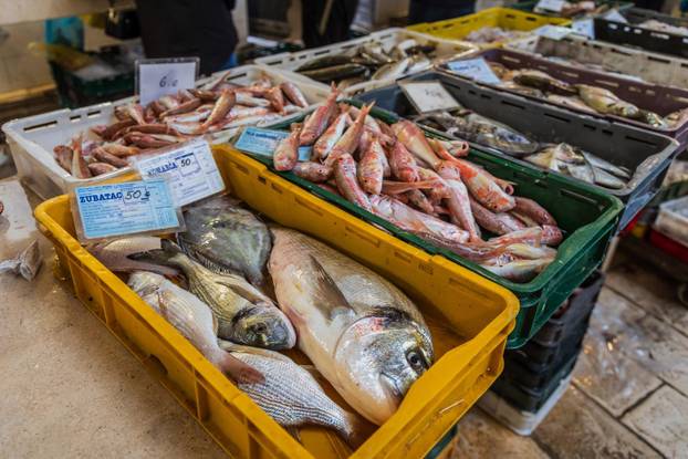 Split: Bogata ponuda ribe petkom u splitskoj ribarnici