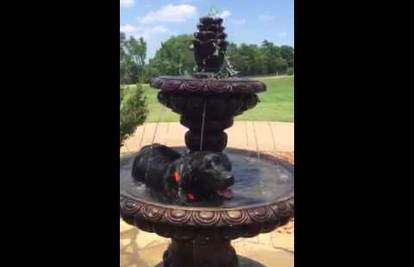 Pas prvi put  vidio fontanu i odlučio istražiti kako 'to radi'