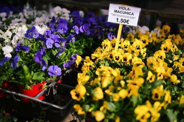 24sata Zagreb: Ponuda cvijeća na Dolcu 