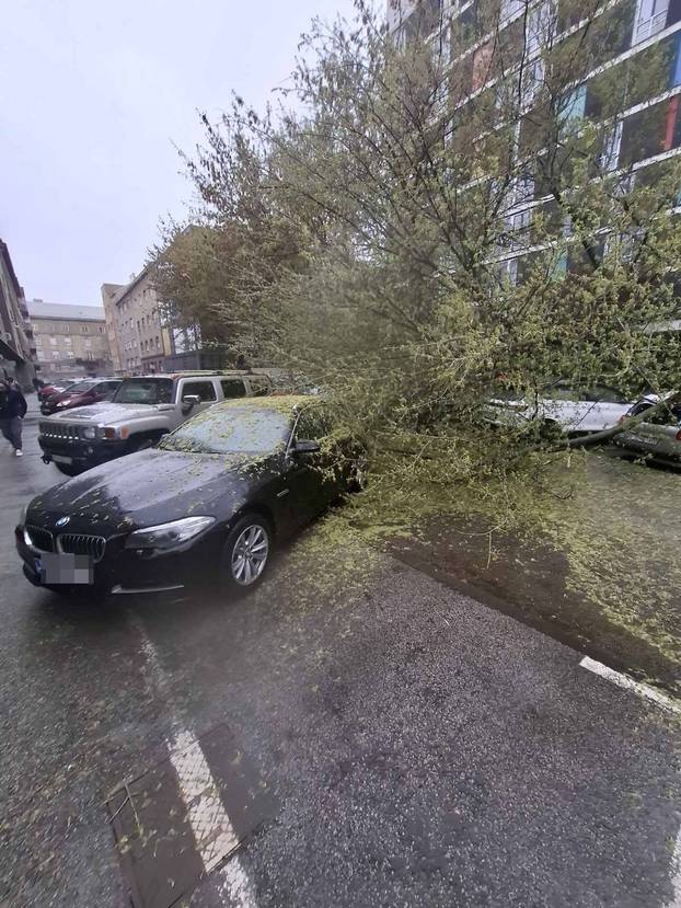 FOTO Apokalipsa u Zagrebu: Stabla drobila automobile, izdano novo upozorenje!