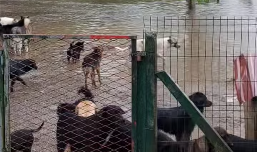 U Ogulinu poplavljen azil za pse: 'Još samo da nas meteor pogodi i onda nas je sve snašlo'