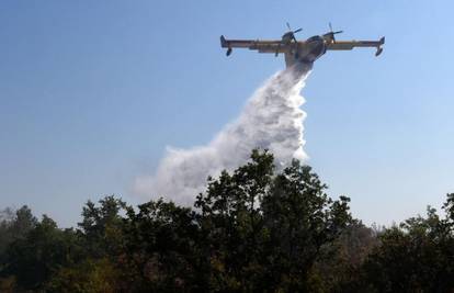 Istra: Vatrogasci požar kod Marčane stavili pod kontrolu 
