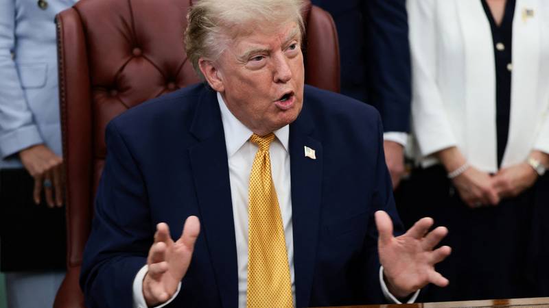 Demokratske savezne države tuže Trumpa zbog novih carina