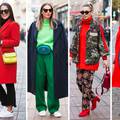 Pravo zimsko modno šarenilo: Crvena i zelena vole se javno