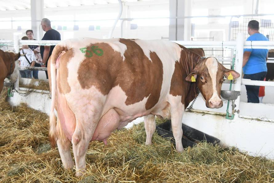 Gudovac: 32. izdanje međunarodnog jesenskog sajma