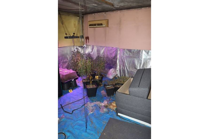 Peščenica: Policija u kući  pronašli tri laboratorija za uzgoj i 226 stabljika marihuane