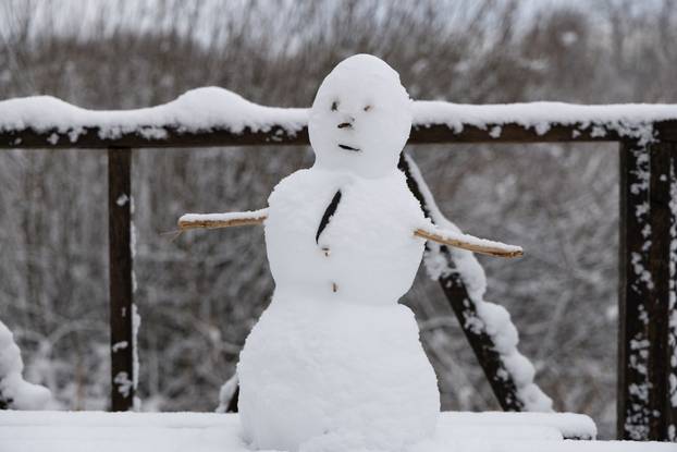 Kopački rit: Zimska idila u Baranji 