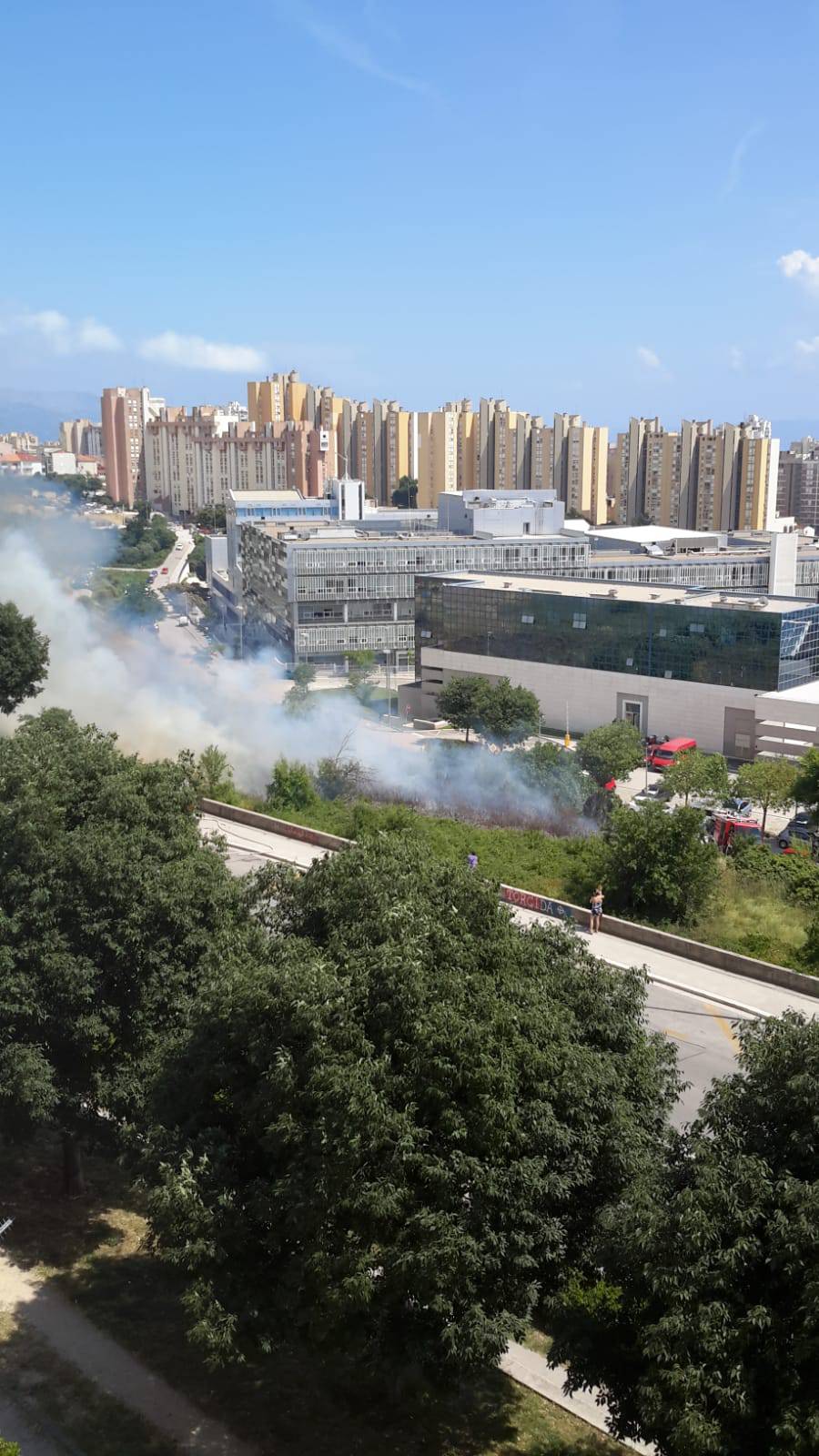 Izbio požar kod Ekonomskog fakulteta, gorjelo nisko raslinje