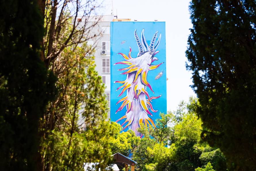 Split je dobio mural najvećeg malog morskog puža na svijetu