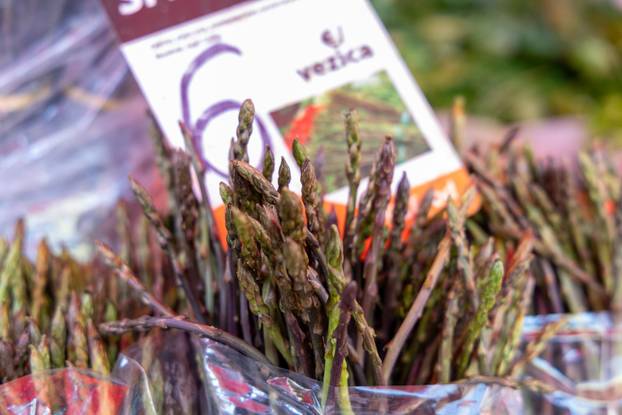 Pula: Cijene šparoga na gradskoj tržnici