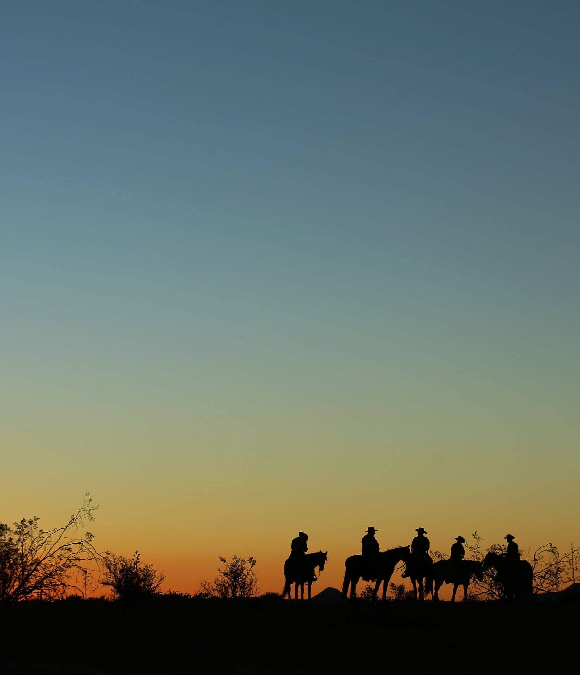 The Wider Image: Wild horse border patrol