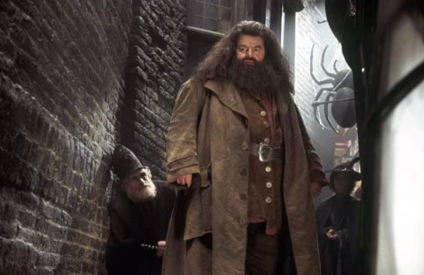 Hagrid ga je proslavio, povukao se iz javnosti i osamio, a po ovim ulogama ćemo ga pamtiti
